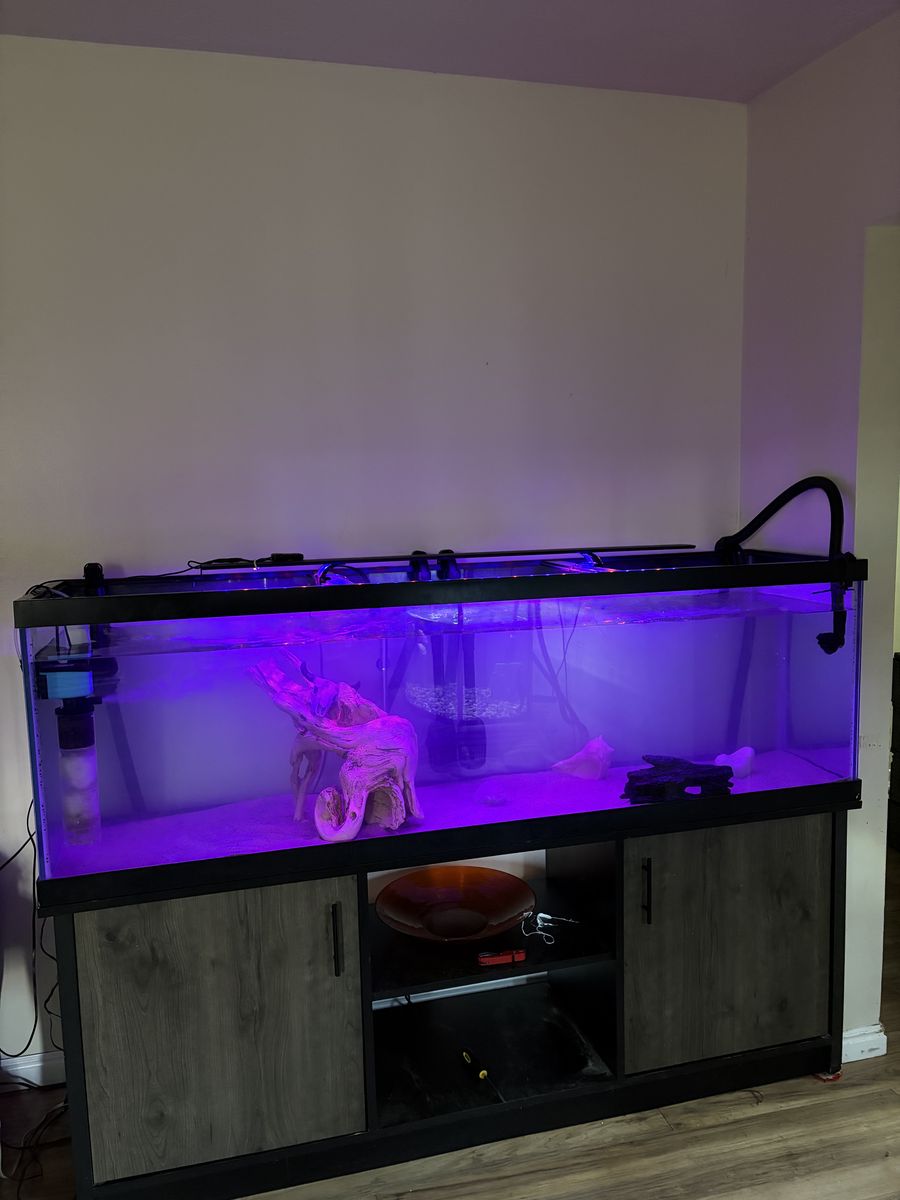 125 Gallon fish tank