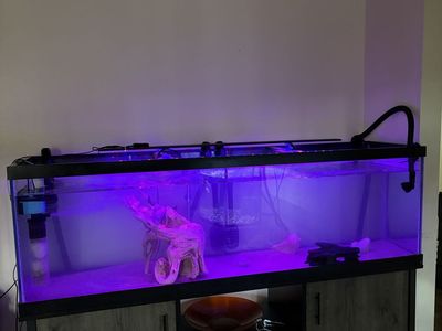 125 Gallon fish tank
