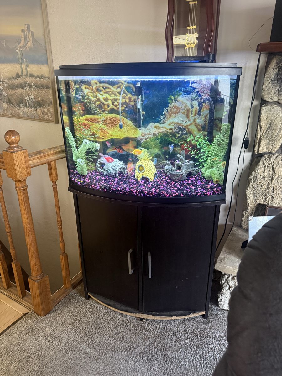 36 Gallon Fish Tank