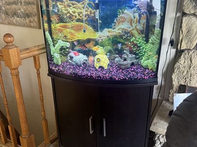 36 Gallon Fish Tank