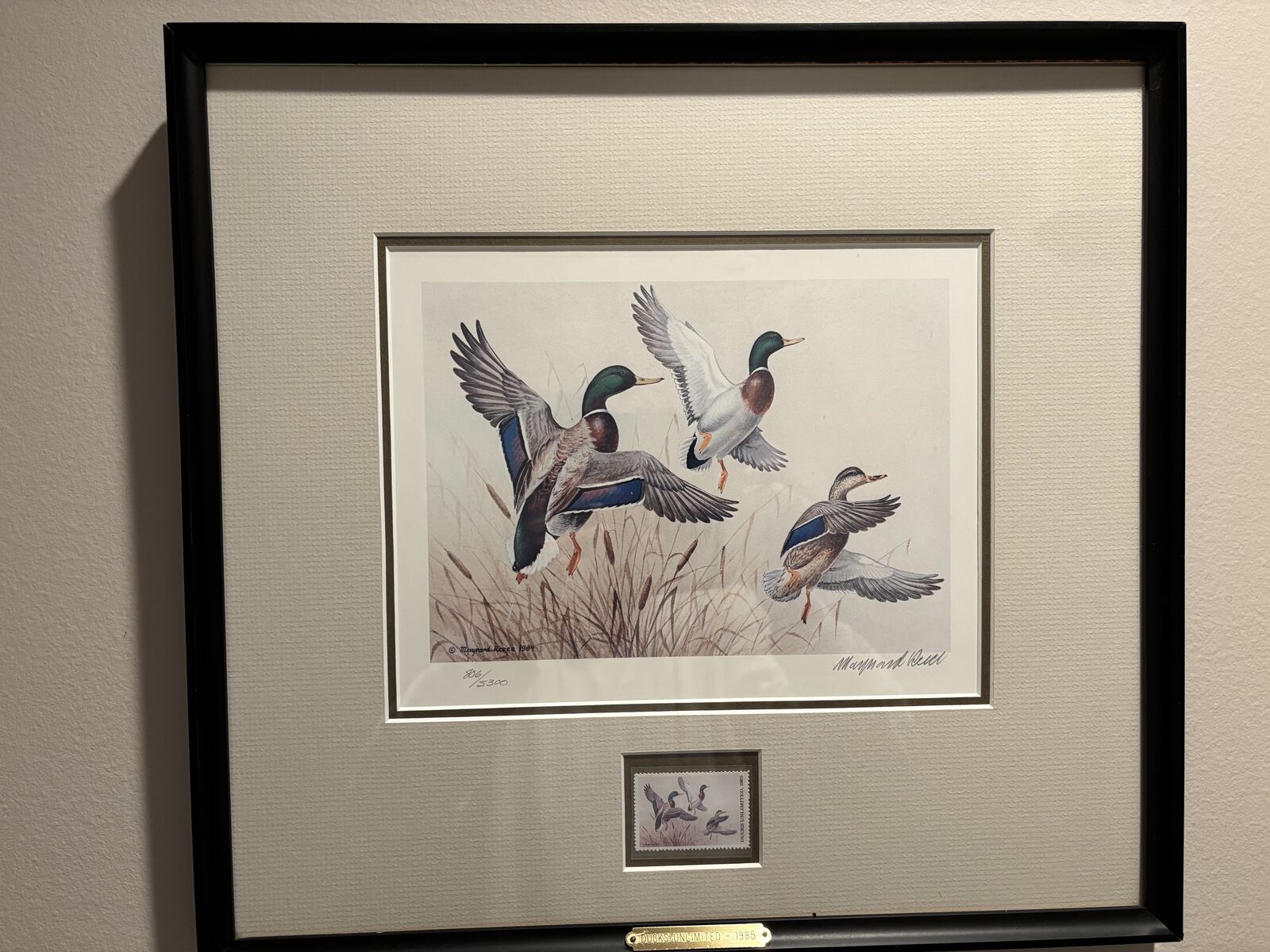 Ducks Unlimited - Print and Stamp