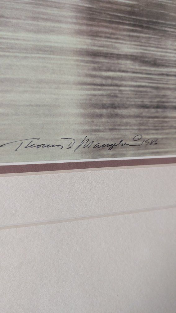 Thomas D. Mangelsen 1986 Framed Limited Edition Print 430/950