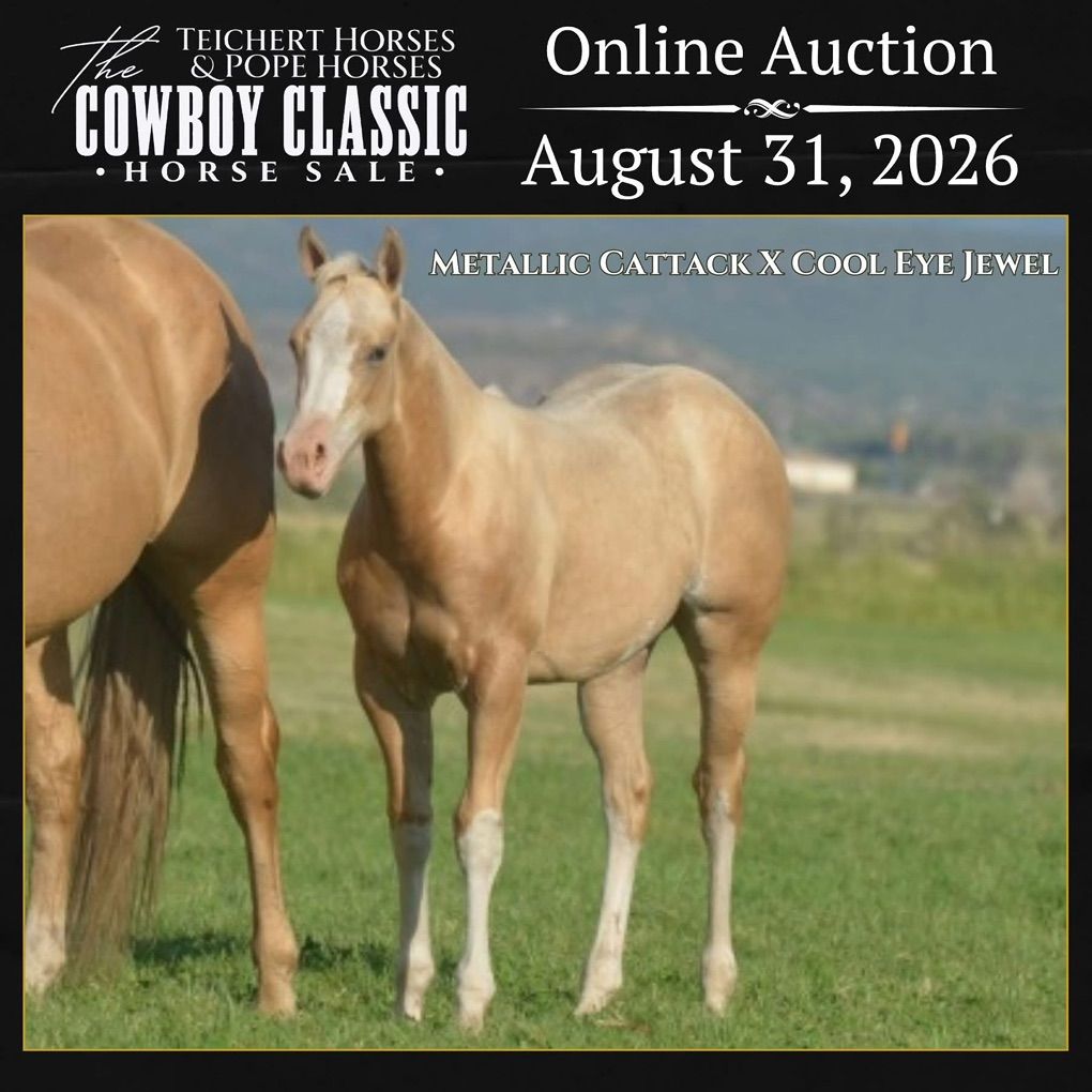 METALLIC CATTACK FILLY