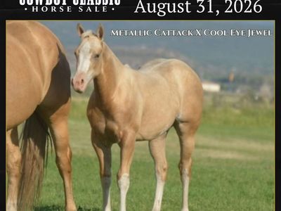 METALLIC CATTACK FILLY