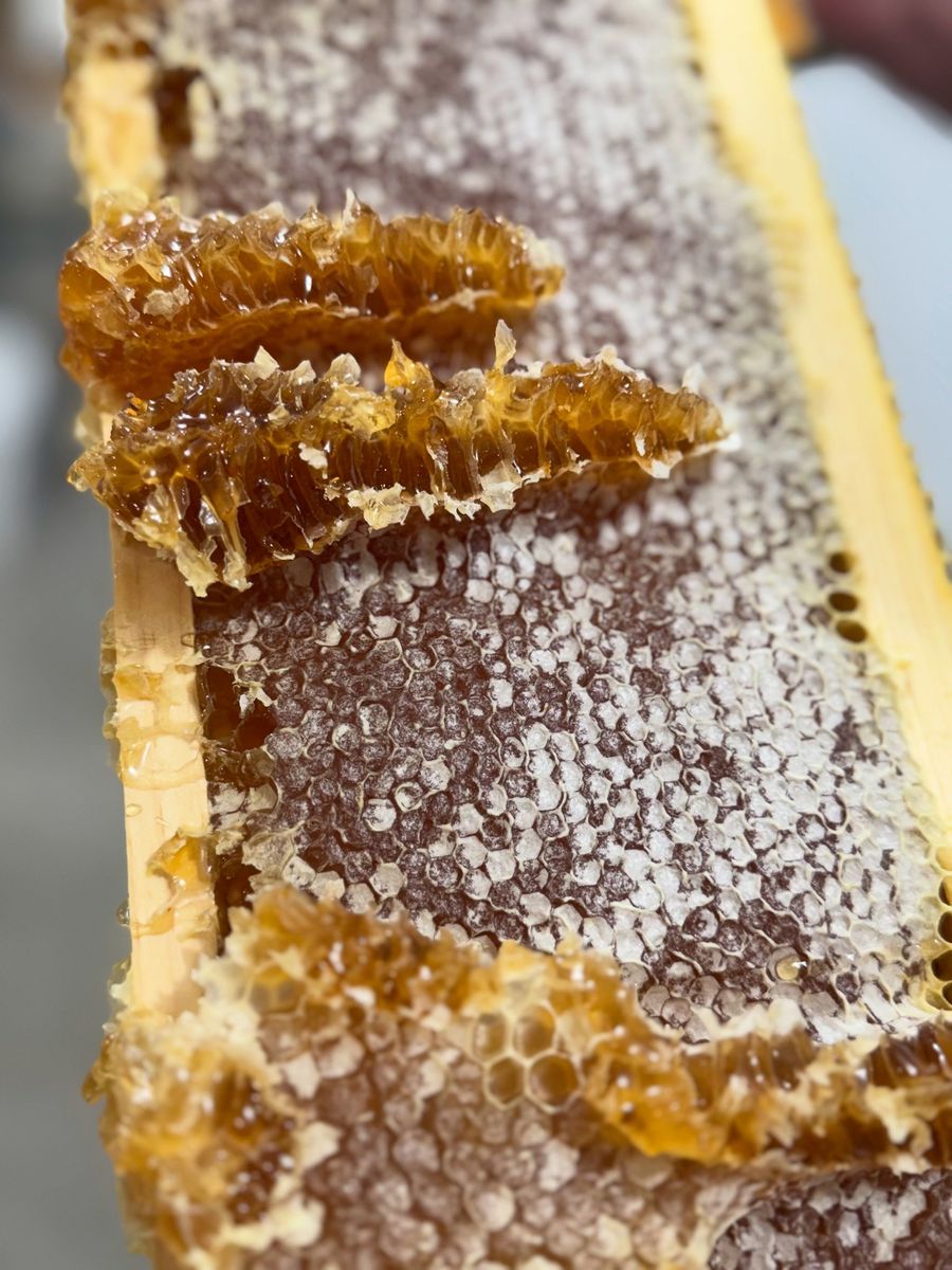Local Raw Honey