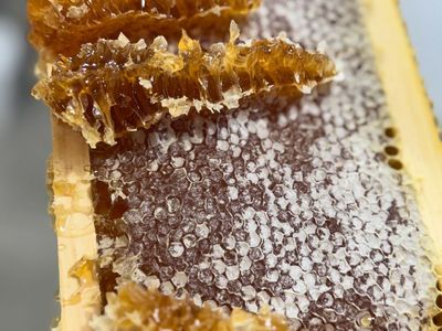 Local Raw Honey