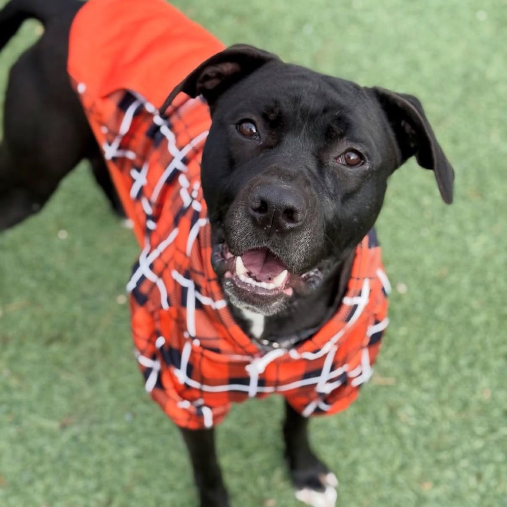 Hello my name is Harkness