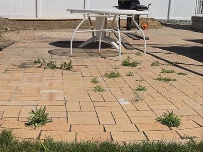 Bricks