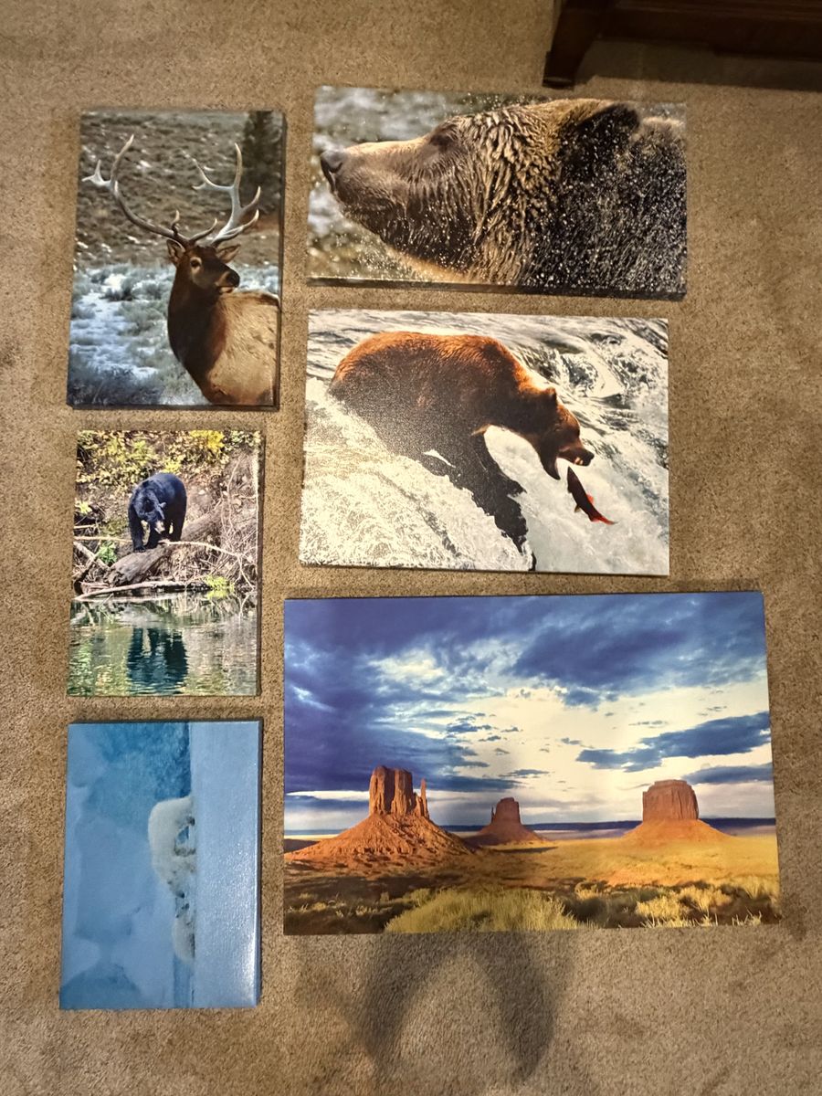 canvas photos