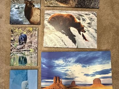 canvas photos