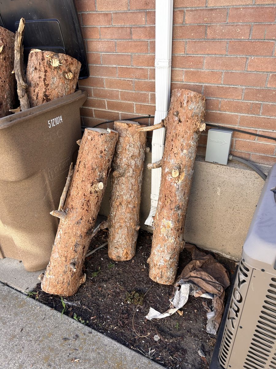 Free Wood