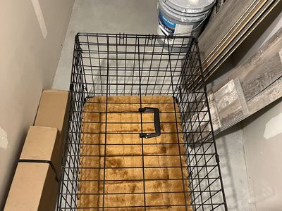Animal crate/kennel