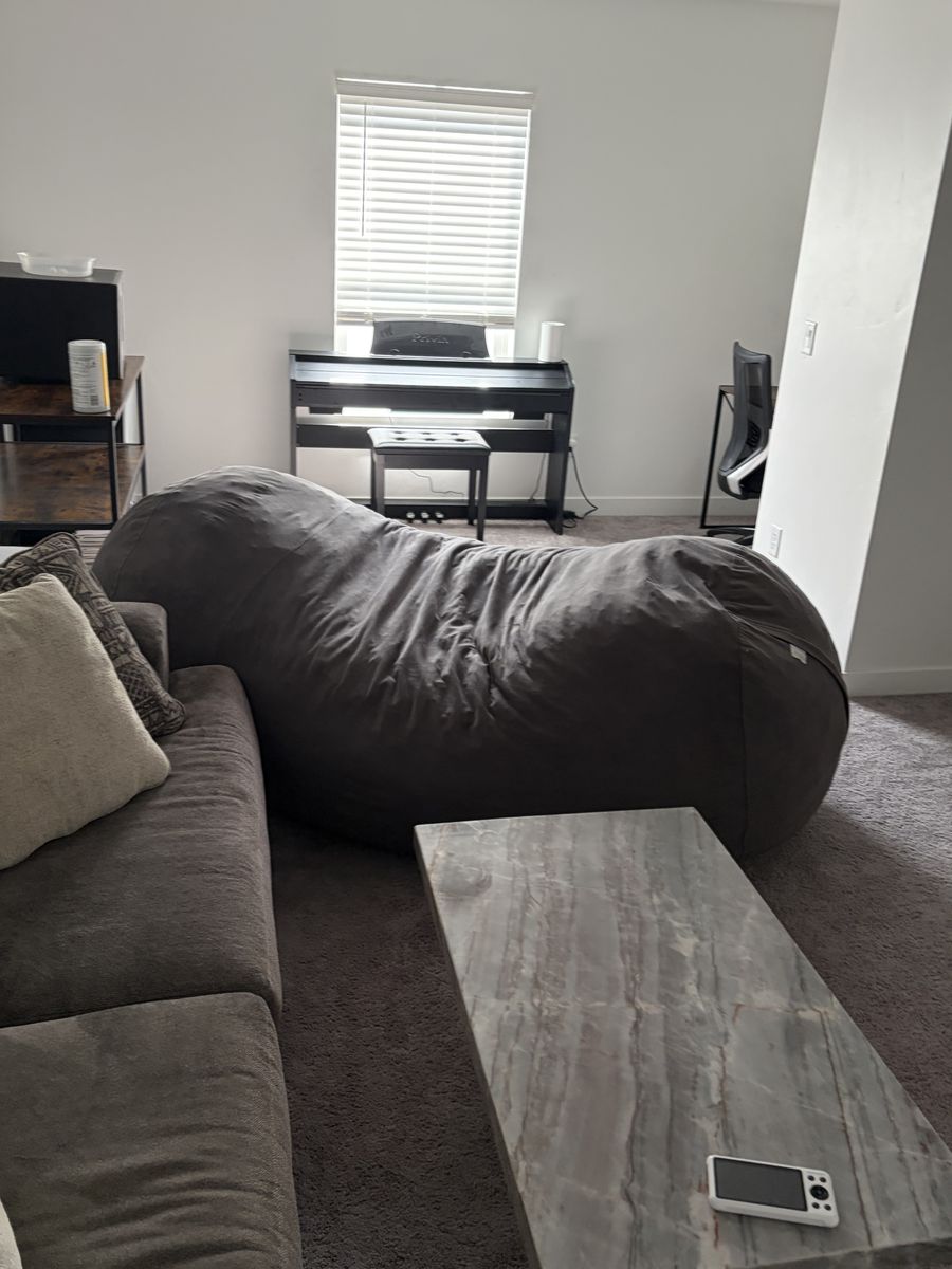 Large Plush Beanbag