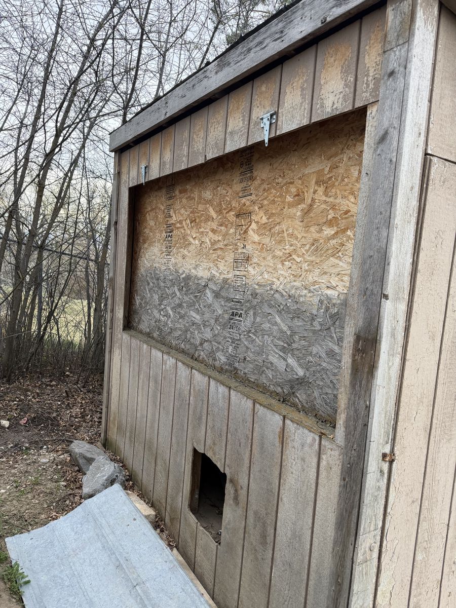 Chicken Coop (FREE)