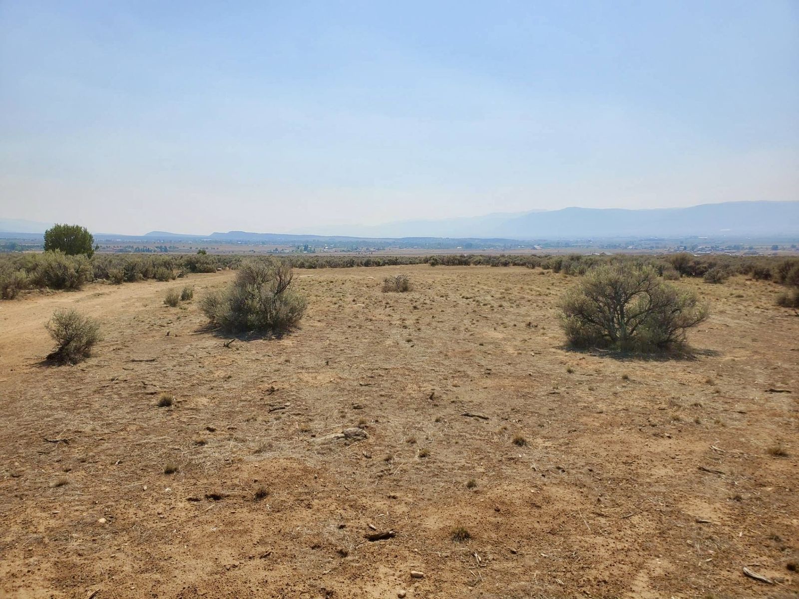 Main image 6