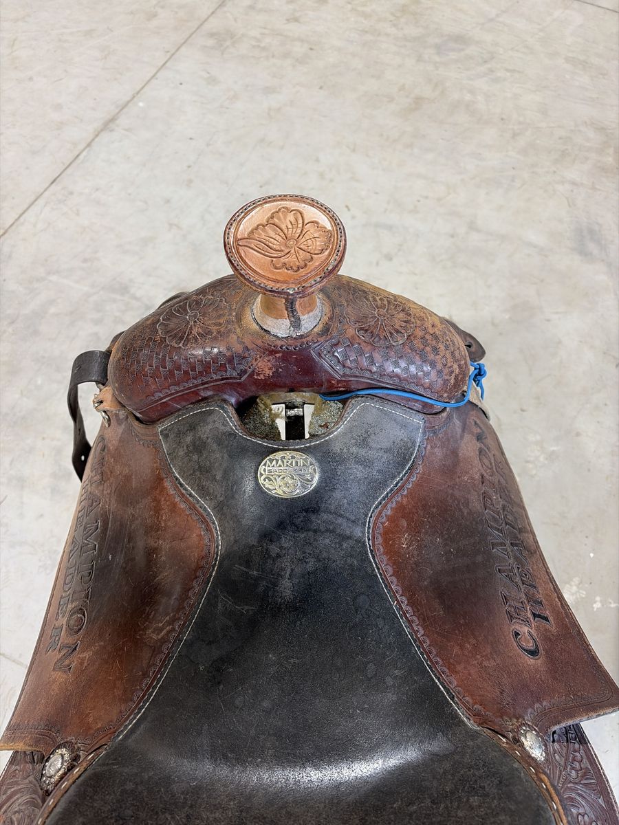 Main image 5