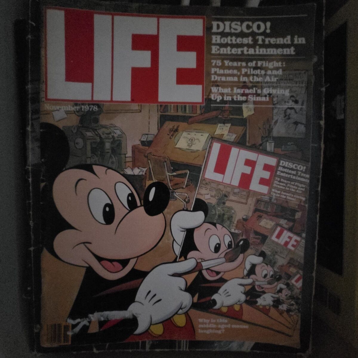 LIFE Magazine. Nov 1978