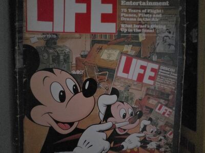 LIFE Magazine. Nov 1978