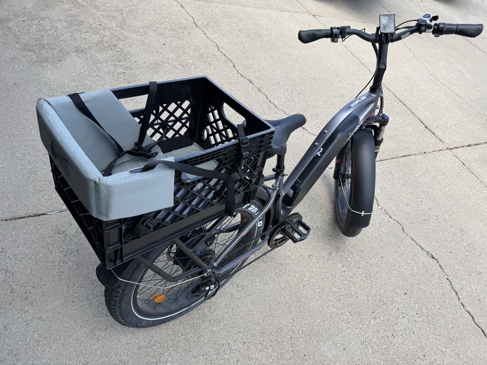 Aerial Rider E bike