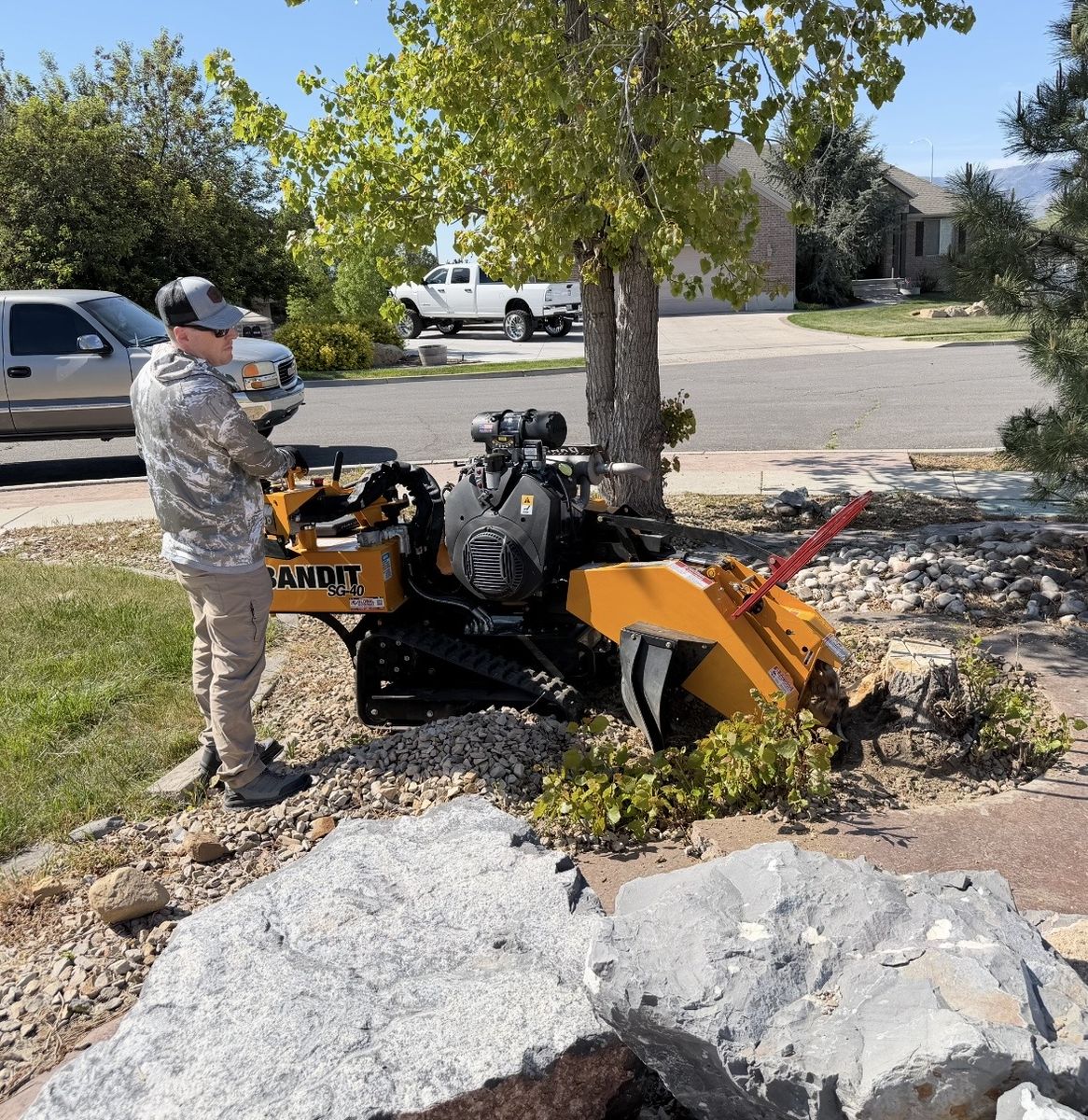 Stump Grinding