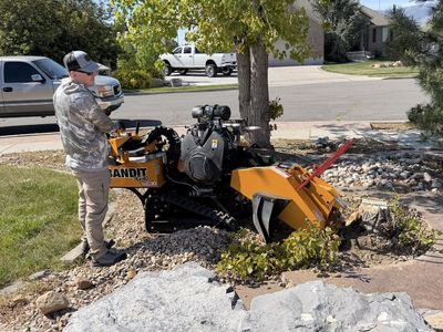 Stump Grinding