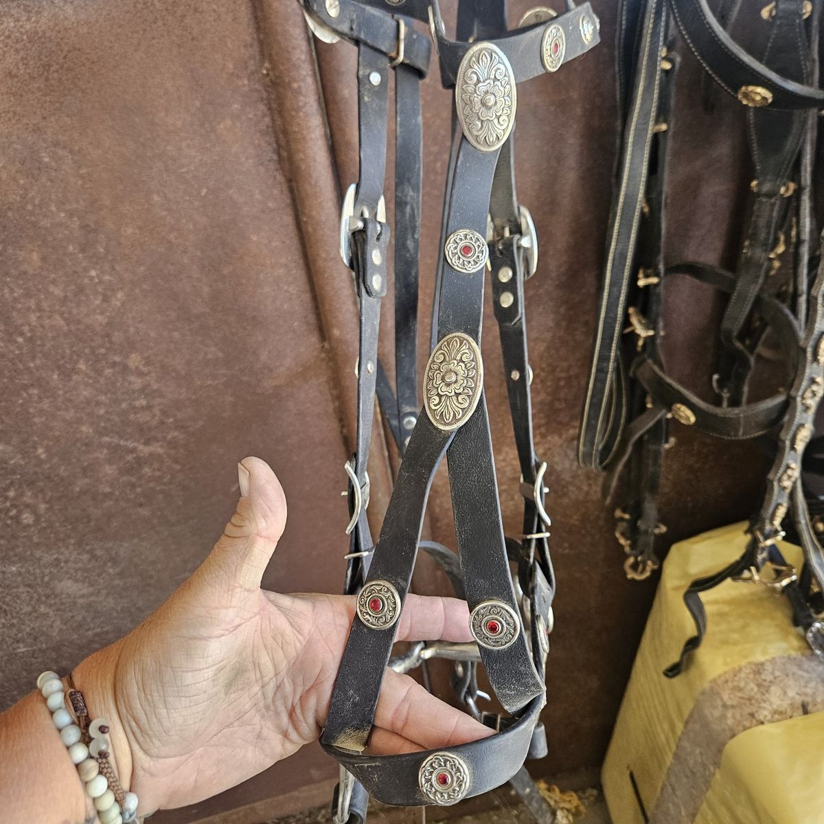 Renaissance Bridle