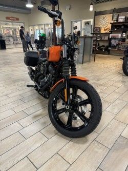 Harley-Davidson 2024 Street Bob 114