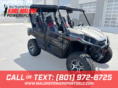 2021 KAWASAKI Teryx4 LE Metallic Graystone - UW254