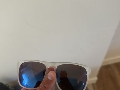 Zeal Capitol Sunglasses