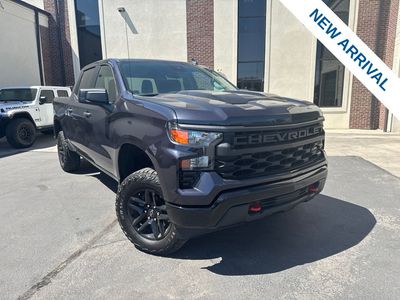 2024 Chevrolet Silverado 1500 Custom Trail Boss