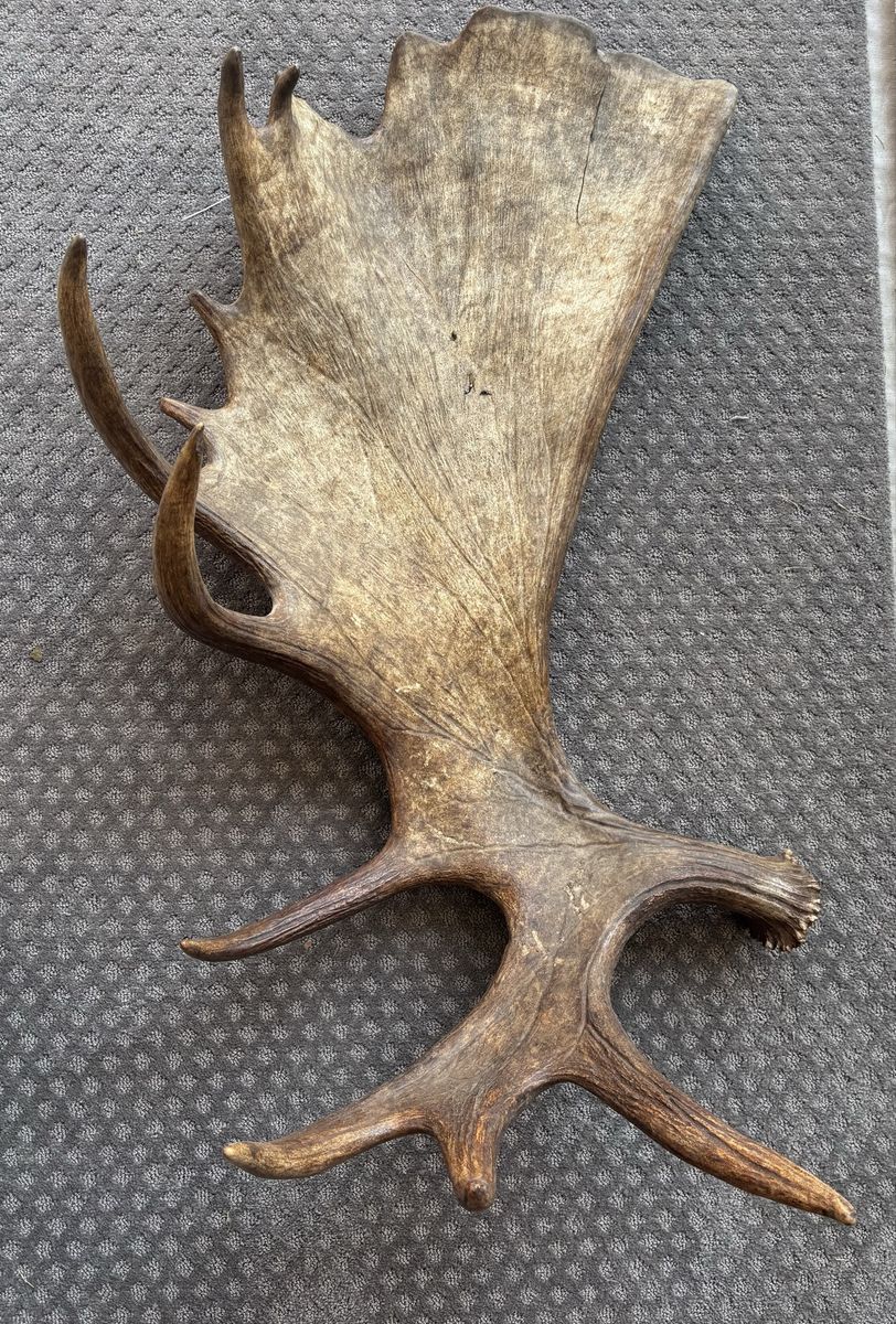 Main image 2