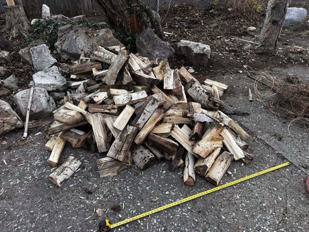 Dry pile of Firewood - Need Gone