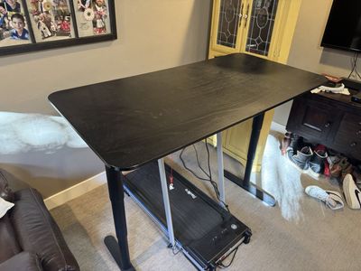 Standing Desk/Table