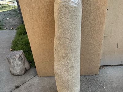 New large rug