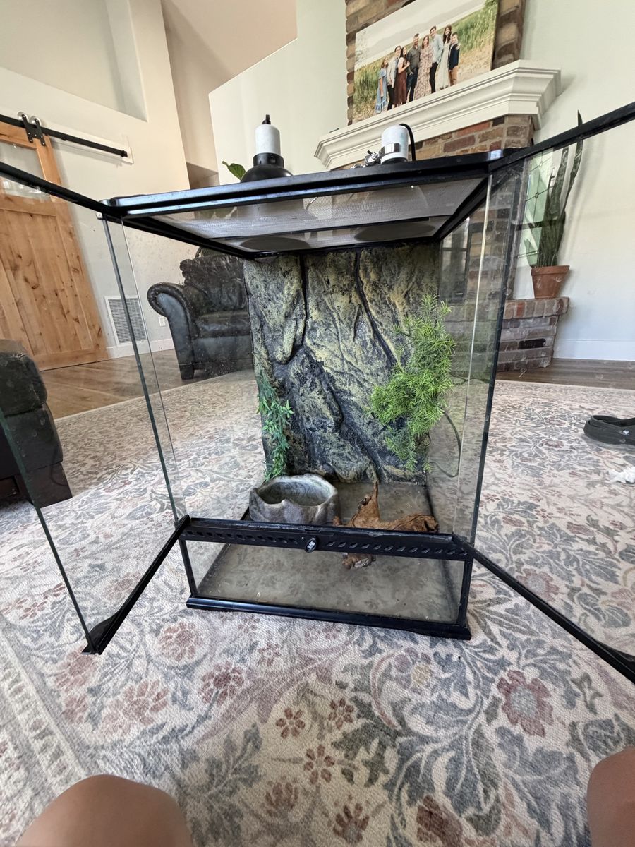 Large reptile tank