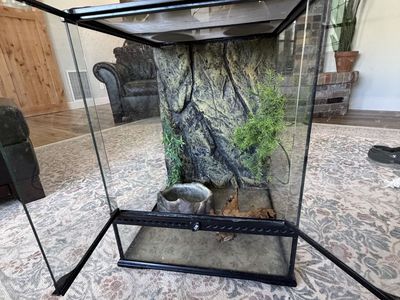 Large reptile tank
