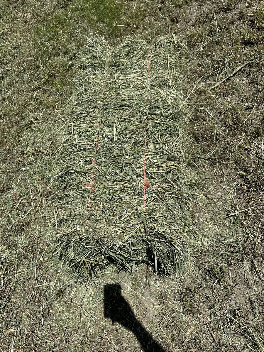 Main image 2