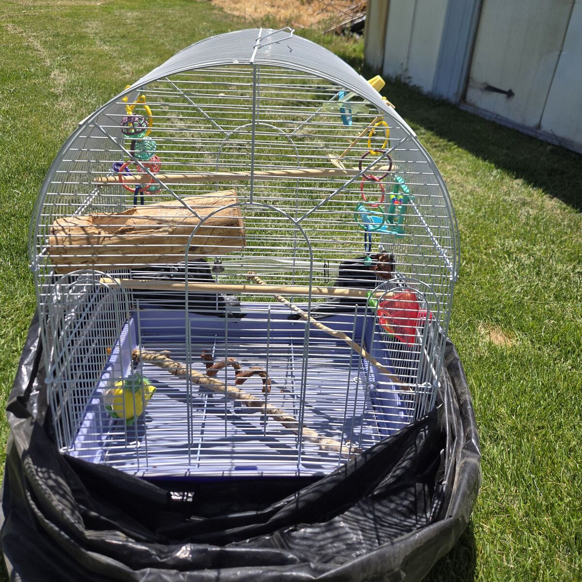 BIRDCAGE WITH ACCESSORIES