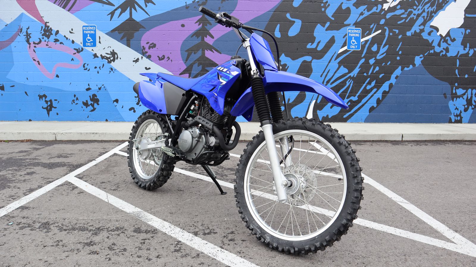 2026 YAMAHA TT R230