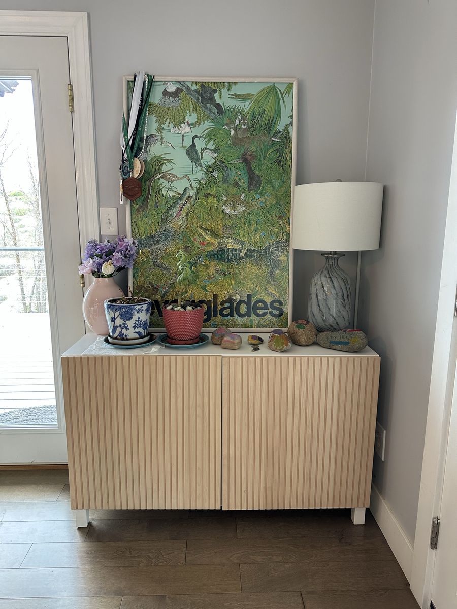 Ikea Besta Storage Cabinet