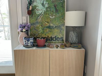 Ikea Besta Storage Cabinet