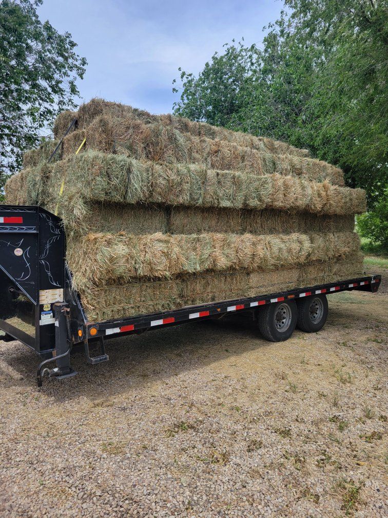 2026 grass hay