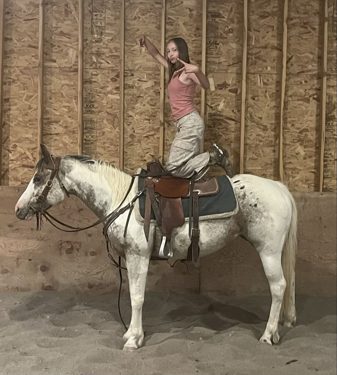 Pintaloosa Mare