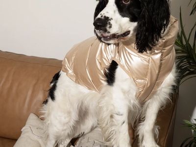 Metallic Gold Pet Puffer Vest - Dog Coat, Size Medium (Chest 18-21", Neck 12-15")