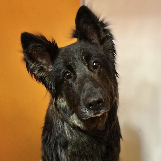 Hello my name is Nona