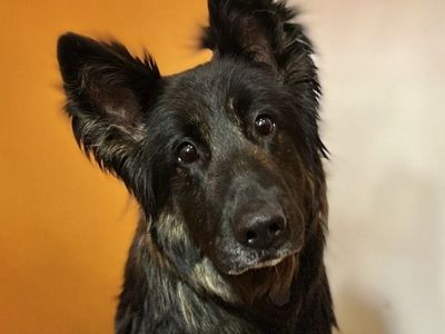 Hello my name is Nona