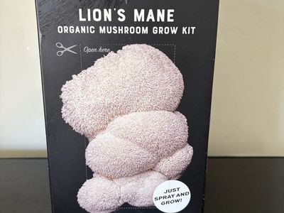 Edible mushroom grow kit