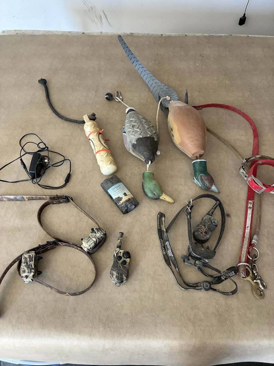 Bird dog Gear and E-Collars 