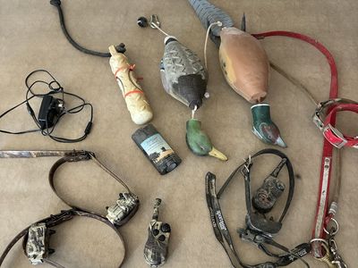 Bird dog Gear and E-Collars