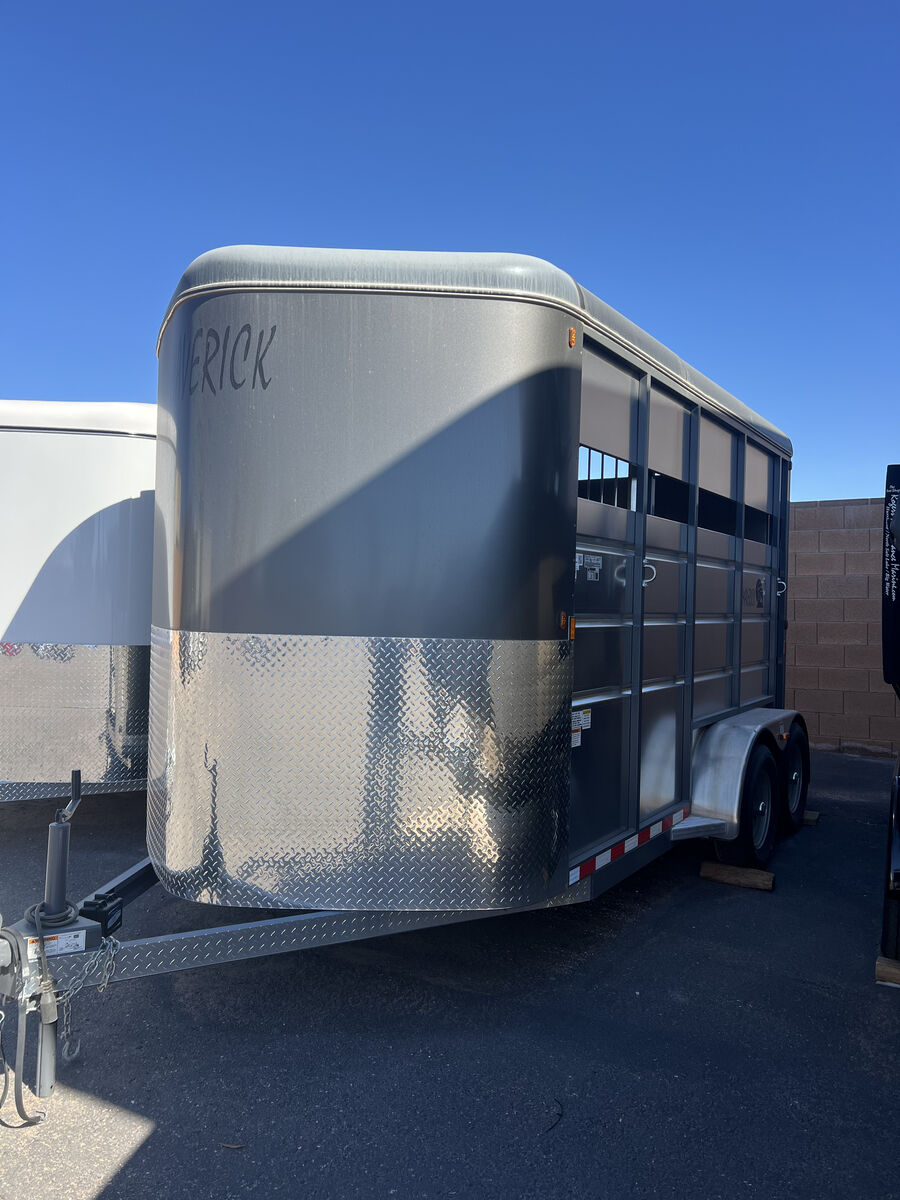 Maverick 2 Horse Warm Blood 7'6" tall